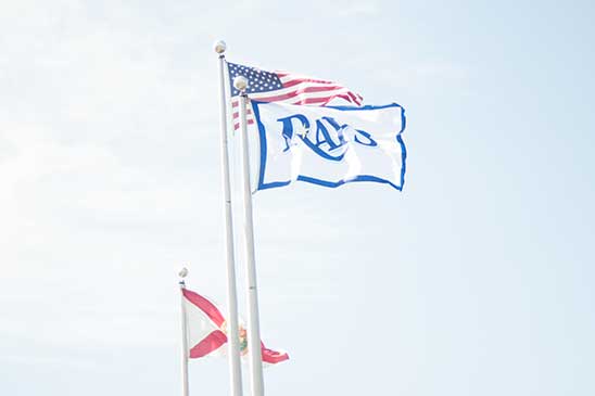 american flag, rays flag, state or florida flag